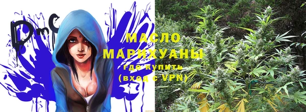 ECSTASY Алзамай